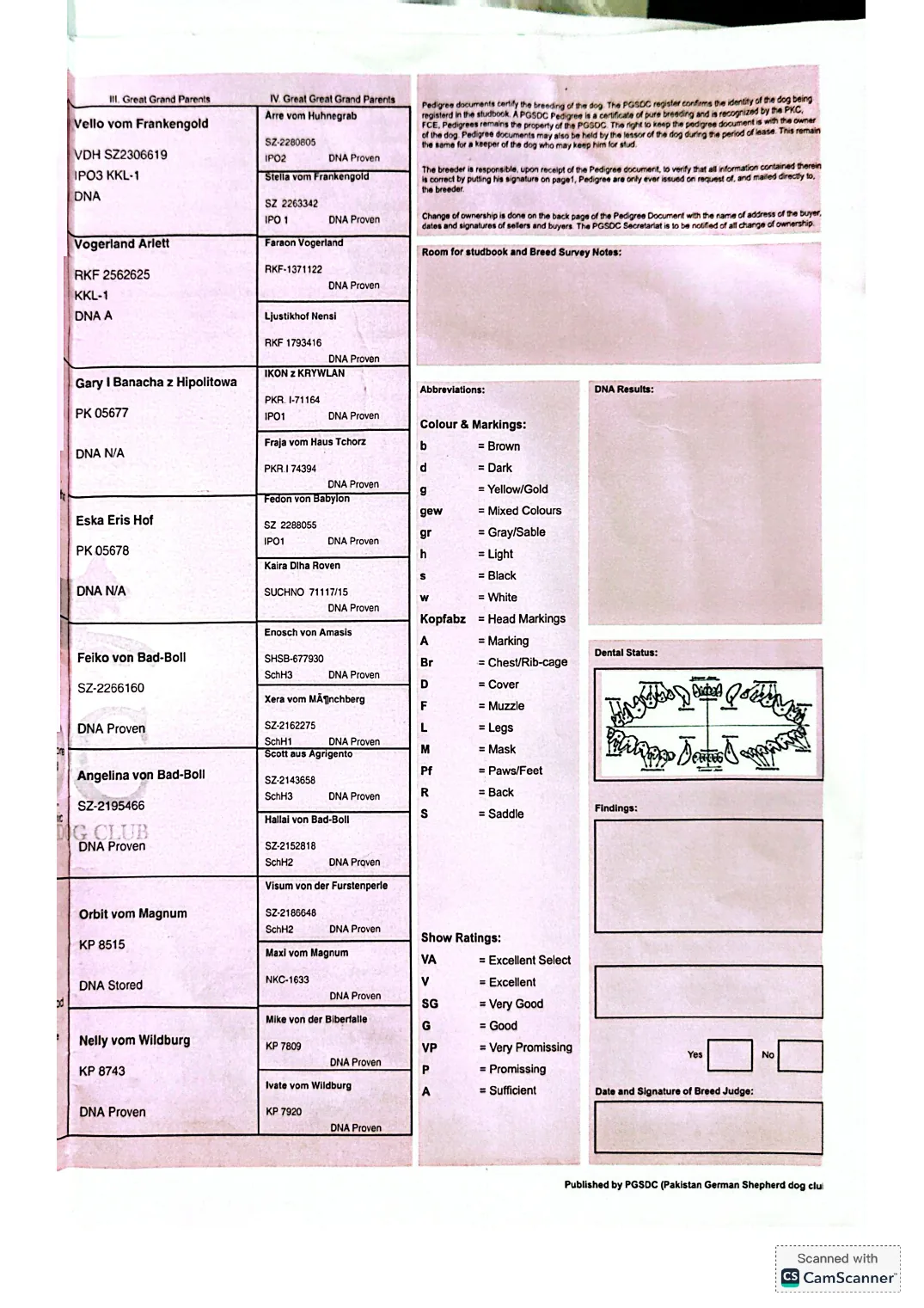 Extended pedigree lineage page