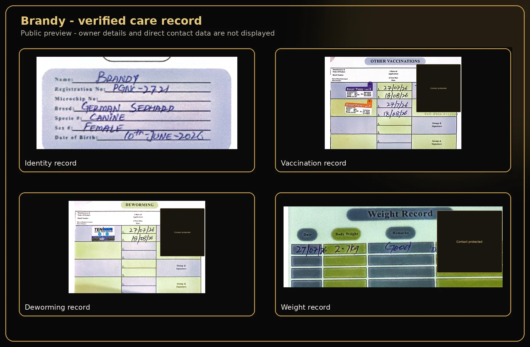 Care summary for Brandy