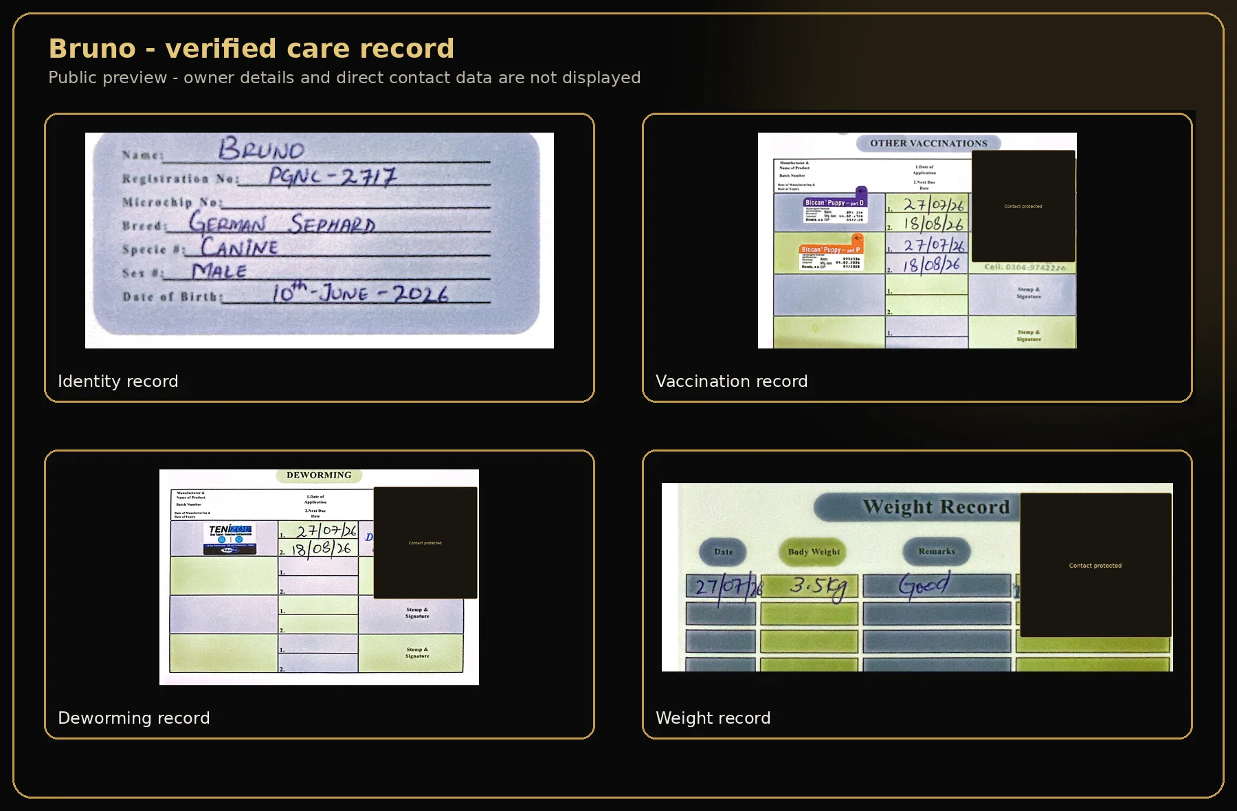 Care summary for Bruno