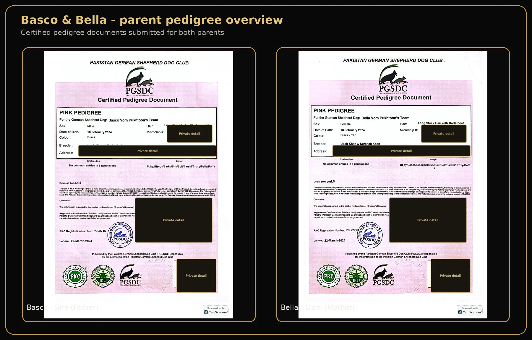 Basco and Bella pedigree overview